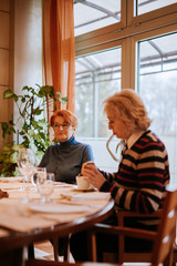 Two Senior Women In A Restaurant