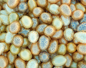 Large group of different Colorful Easter eggs