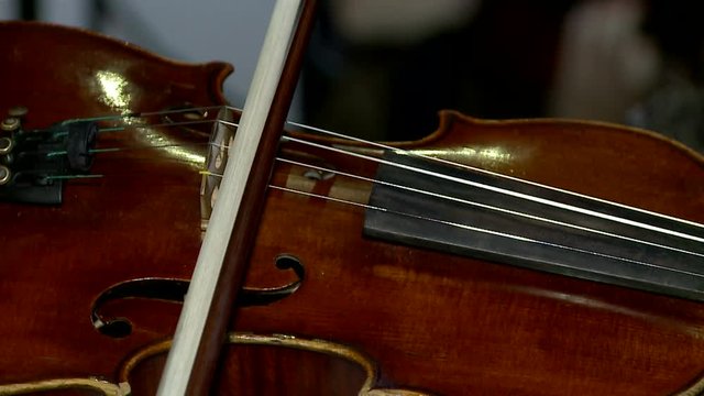 Violin Live Concert with close-up of Womens Hands playing the Violin