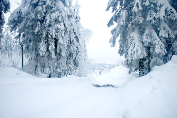 Verschneiter Weg im Winter