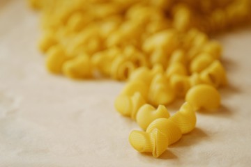 Homemade pasta made of hard wheat on the table