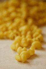 Homemade pasta made of hard wheat on the table