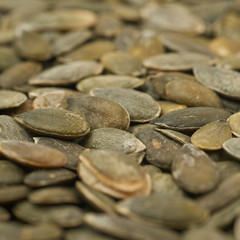 Fototapeta na wymiar Surface covered with pumpkin seeds