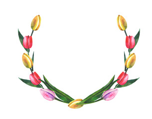 wreath of tulips on white background with watercolor