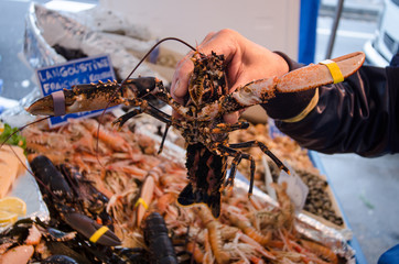 Lobster on the fish market