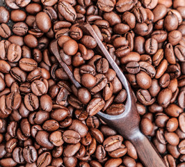 Coffee beans in wooden spoon