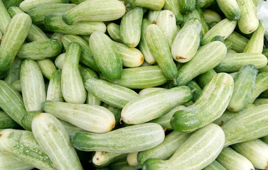 Fresh Cucumber