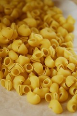 Homemade pasta made of hard wheat on the table