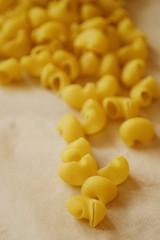 Homemade pasta made of hard wheat on the table