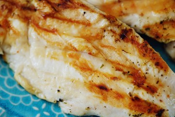 Fresh chicken fillet grilled in a blue plate 