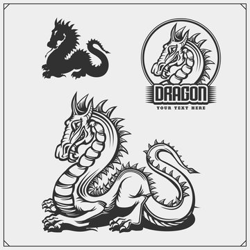 Set of Dragon logos, badges and labels. Dragon emblems for sport club.