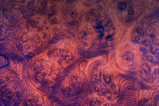 Afzelia xylocarpa wood, beautiful background from wooden.