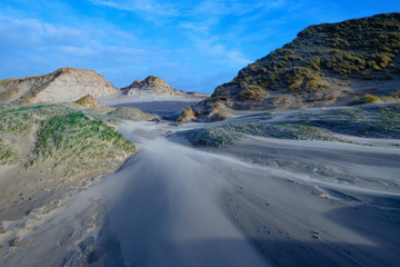 Dünenlandschaft bei Bergen aan Zee/NL bei windigem Wetter