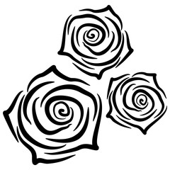 Beautiful silhouettes of roses on white background. Vector illustration.