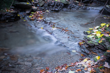 Creek in polish Beskidy mountains