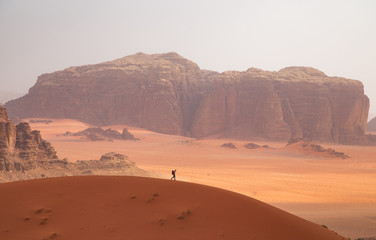 Fototapeta na wymiar Desert Solitude