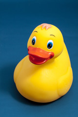 Yellow plastick duck isolated on a blue background