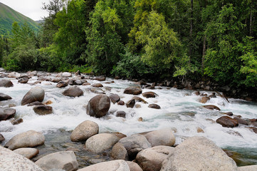 torrente
