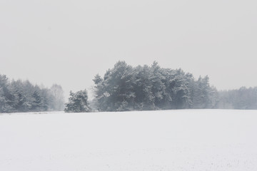 Winter February morning in the snow drowning.