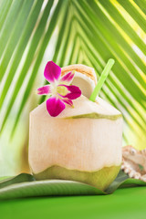Tropical exotic fresh green coconut water drink near palm with orchid flower