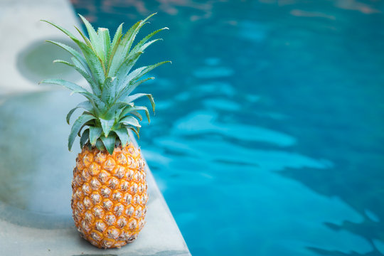 pineapple tropic fruit summer refreshment pool