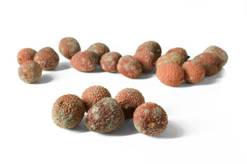 Group of mouldy lychees isolated on white background