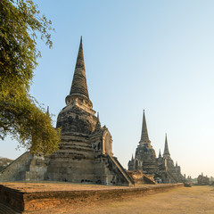 Fototapeta premium Wat Phra Si Sanphet Temple in Ayutthaya Historical Park, Thailand