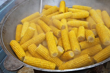 Close up boiling fresh corncobs