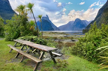 Foto op Canvas Rest area at Milford Sound (Fjordland, New Zealand) © Henner Damke