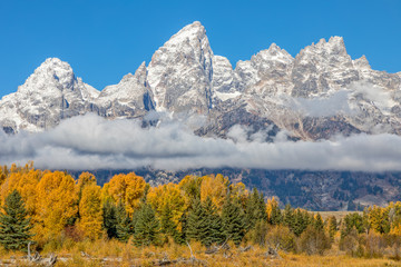 Scenic Autumn Landscape in the Tetons