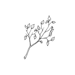 branch with leaves vector draw