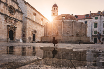 Old City of Dubrovnik. Historical town square with ancient architecture - big Onofrio fountain, church and monastery, popular tourist destination thanks to the fans of the Games of Thrones, Croatia