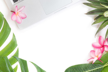 Fototapeta na wymiar Tropical top botanical concept still life laptop