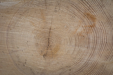 Naklejka premium Holz Struktur - Hintergrund rustikal