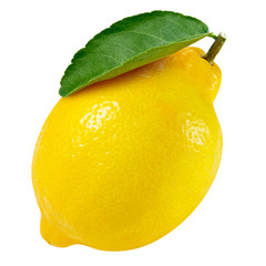 lemon fruit slice
