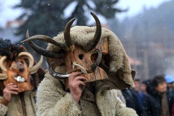 Breznik, Bulgaria - January 20, 2018: Unidentified people with traditional Kukeri costume are seen at the Festival of the Masquerade Games Surova in Breznik, Bulgaria