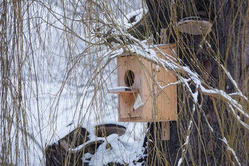 bird feeder helping to survive the winter.