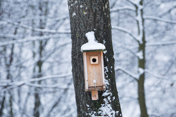 bird feeder helping to survive the winter.
