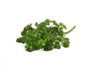curley leaf parsley - 191515799