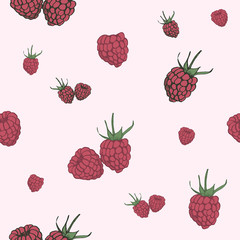 Raspberry seamless pattern. Hand drawn berry sketches background.