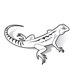 black outline chameleon vector cartoon