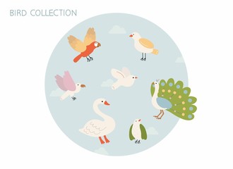Cute Birds, swan, parrot, flying  Collection soft pastel colors illustration 