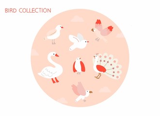 Bird Collection soft pink color illustration 