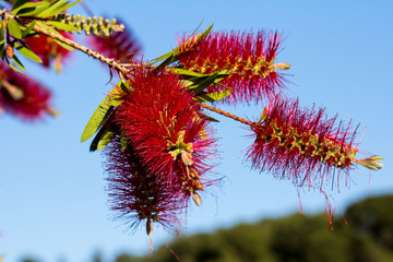 CAGLIARI - Passeggiata nel Parco di Monte Claro - Sardegna
