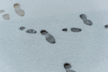 Numerous Footsteps in the Snow