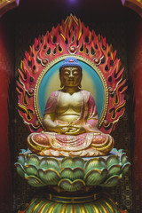 Buddha statue illuminated