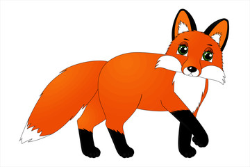 Fototapeta premium Cute cartoon fox