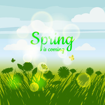 Spring is coming. Green field, flowers, sky. Camomile, grass, dandelion. Background. Vector, isolate, illustrarion, baner, flyer
