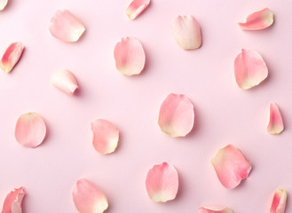Fototapeta na wymiar Rose petals pattern on a pink background. Top view
