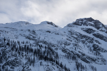 Idyllic, snow covered mountain ridge with a fir forest on its slope